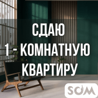 Сдаю 1-комнатную квартиру, Шопокова/Боконбанева, 300 $, б/п