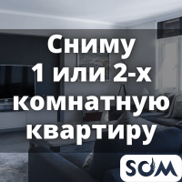 Сниму 1-2 комнатную квартиру в Центре, б/п