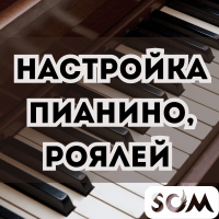 Супервысокопрофессиональная настройка пианино, роялей.