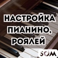 Высокопрофессиональная настройка пианино, роялей.
