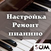 Настройка, ремонт пианино! Помогу купить