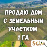 Продается дом с земельным участком 1 ГА., в селе Токбай, б/п