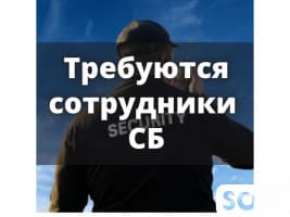 В торговый центр требуются сотрудники СБ!