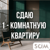 Сдаю 1-комнатную квартиру, Шопокова/Боконбанева, 300 $, б/п