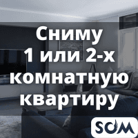 Сниму 1-2 комнатную квартиру в Центре, б/п