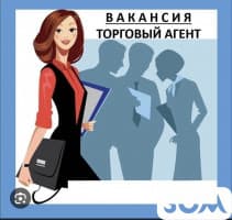 Требуются торговые агенты по г. Бишкек с опытом и без