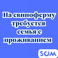 На свиноферму требуется семья с проживанием!