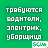 Требуются водители, электрик, уборщицы.